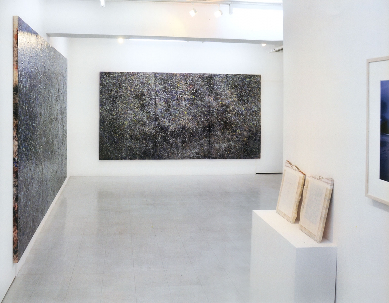 Tokyo Gallery, 2009