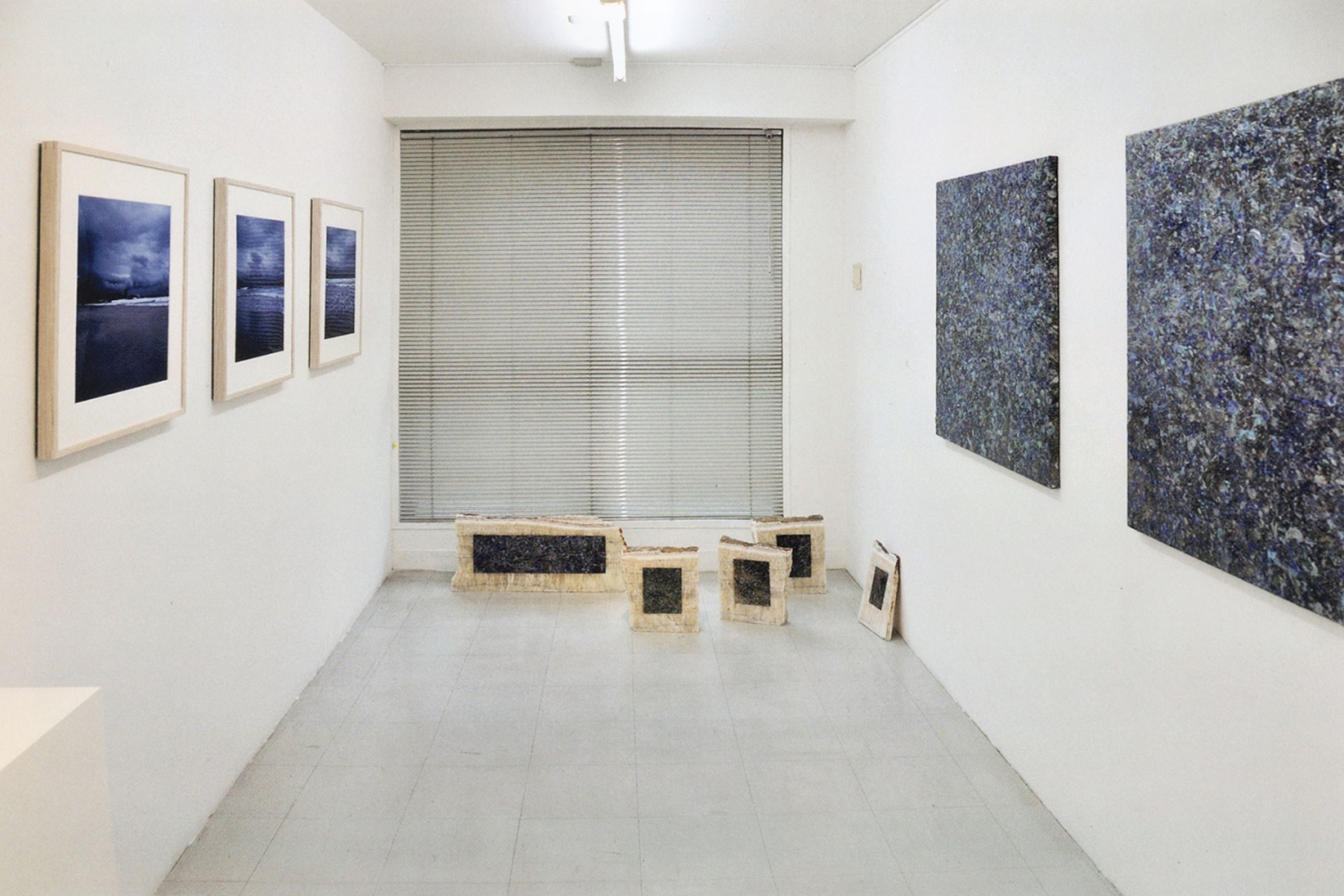 Tokyo Gallery, 2009